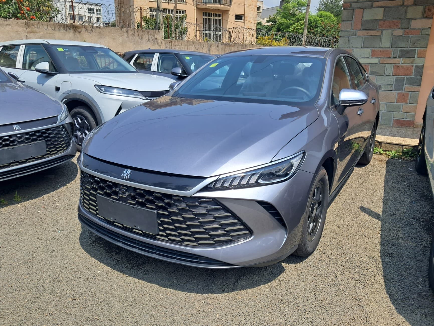 Byd qin plus 2025