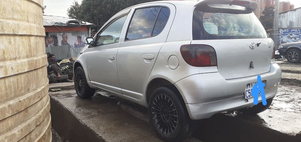 Vitz